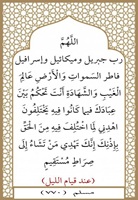 ١٩- فاطر السماوات